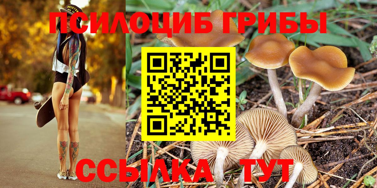 Балтийск  Галлюциногенные грибы Cubensis  магазин  наркотиков  Вход с VPN  Галлюциногенные грибы Cubensis 